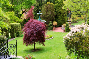 Botanical Gardens Forest Glade Gardens