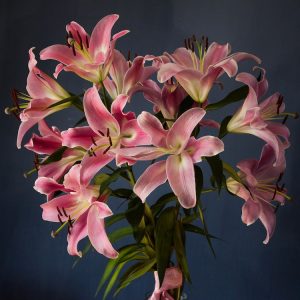 Funeral Notice Flowers Lillies Natural Grace