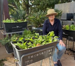 Older woman in a straw hat sits beside a metal cart labeled Vegetables, tending leafy greens on a patio garden.